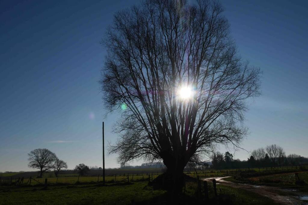 Gite L 'Ecurie A La Campagne Flines-Les-Mortagne Exteriör bild