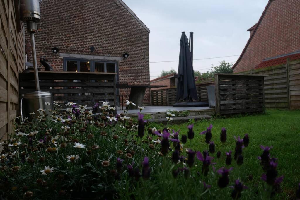 Gite L 'Ecurie A La Campagne Flines-Les-Mortagne Exteriör bild