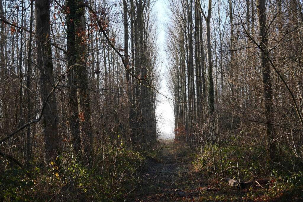 Gite L 'Ecurie A La Campagne Flines-Les-Mortagne Exteriör bild
